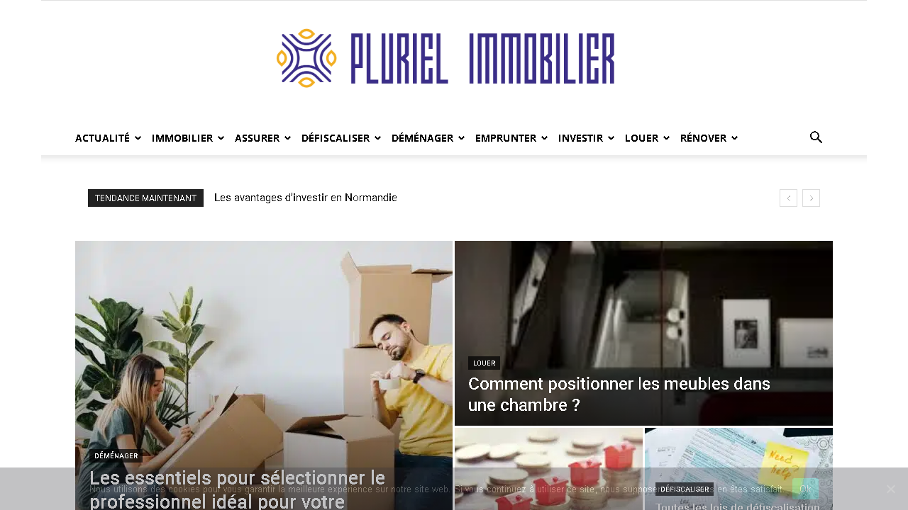 Capture d'écran de http://www.pluriel-immobilier.com/